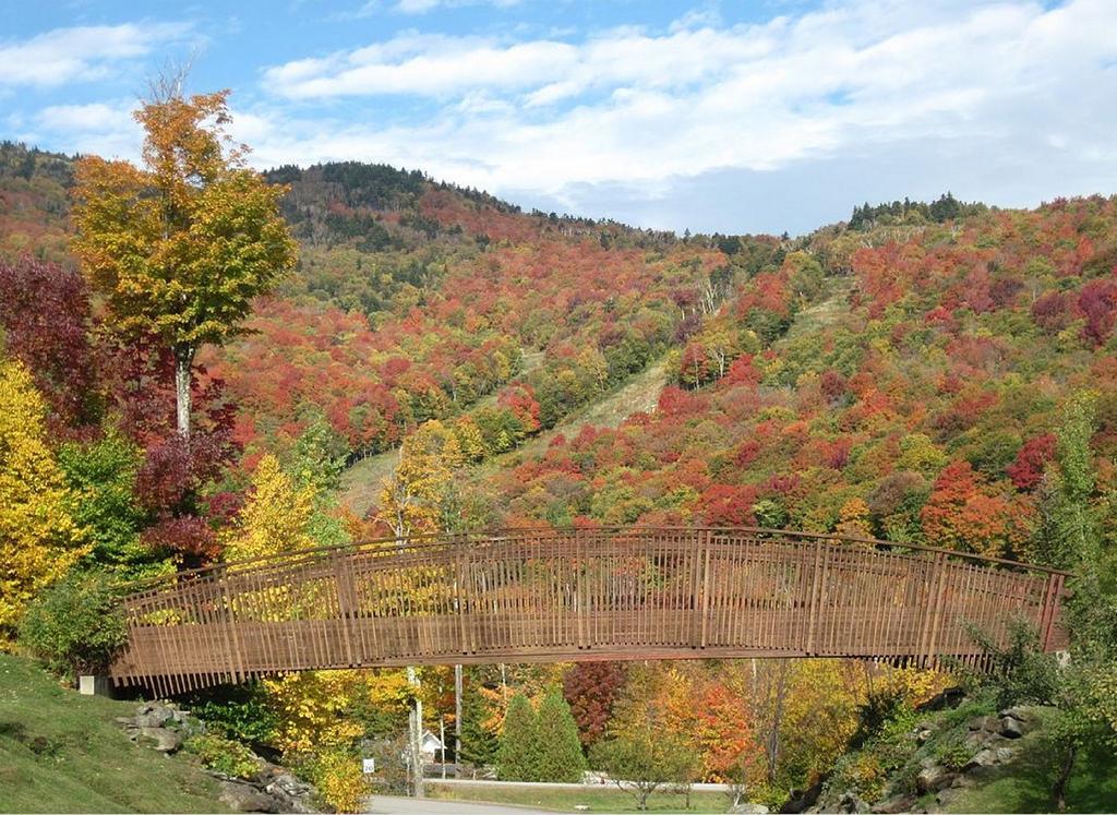 Ski In/Out Trailside Townhome Killington Exterior photo