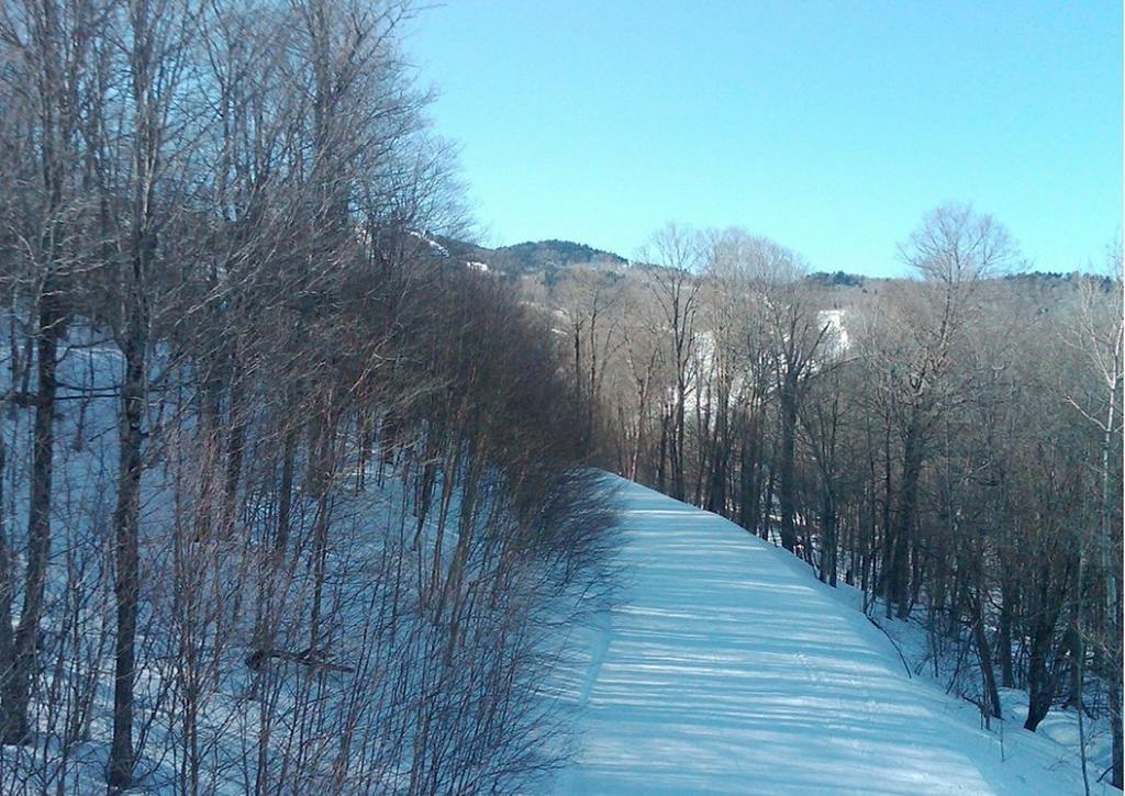 Ski In/Out Trailside Townhome Killington Exterior photo